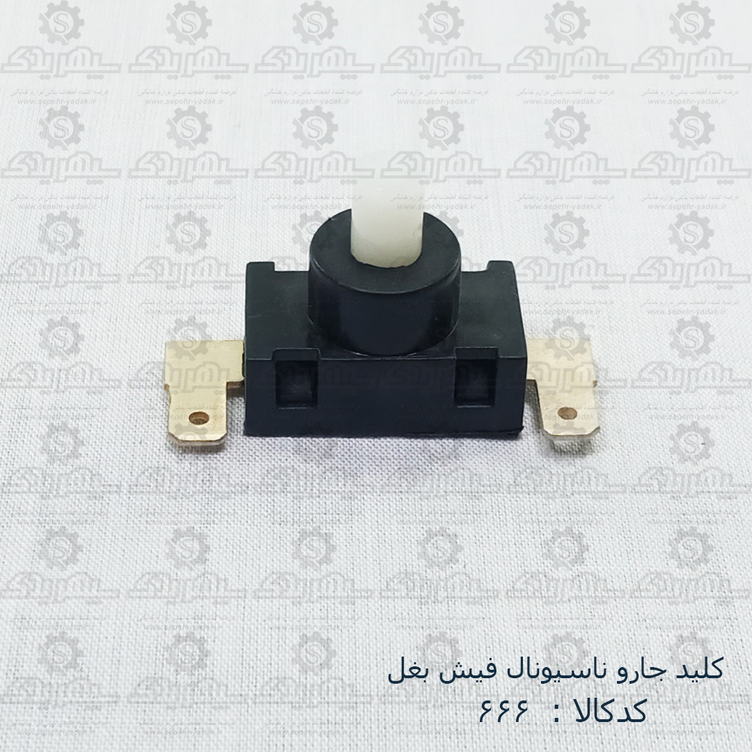 100666-1-1 کليد جارو ناسيونال فيش بغل