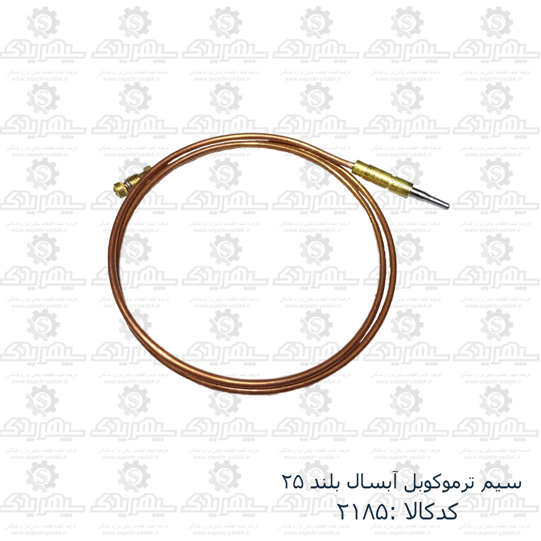 102185-1-1 سيم ترموکوبل آبسال بلند 25