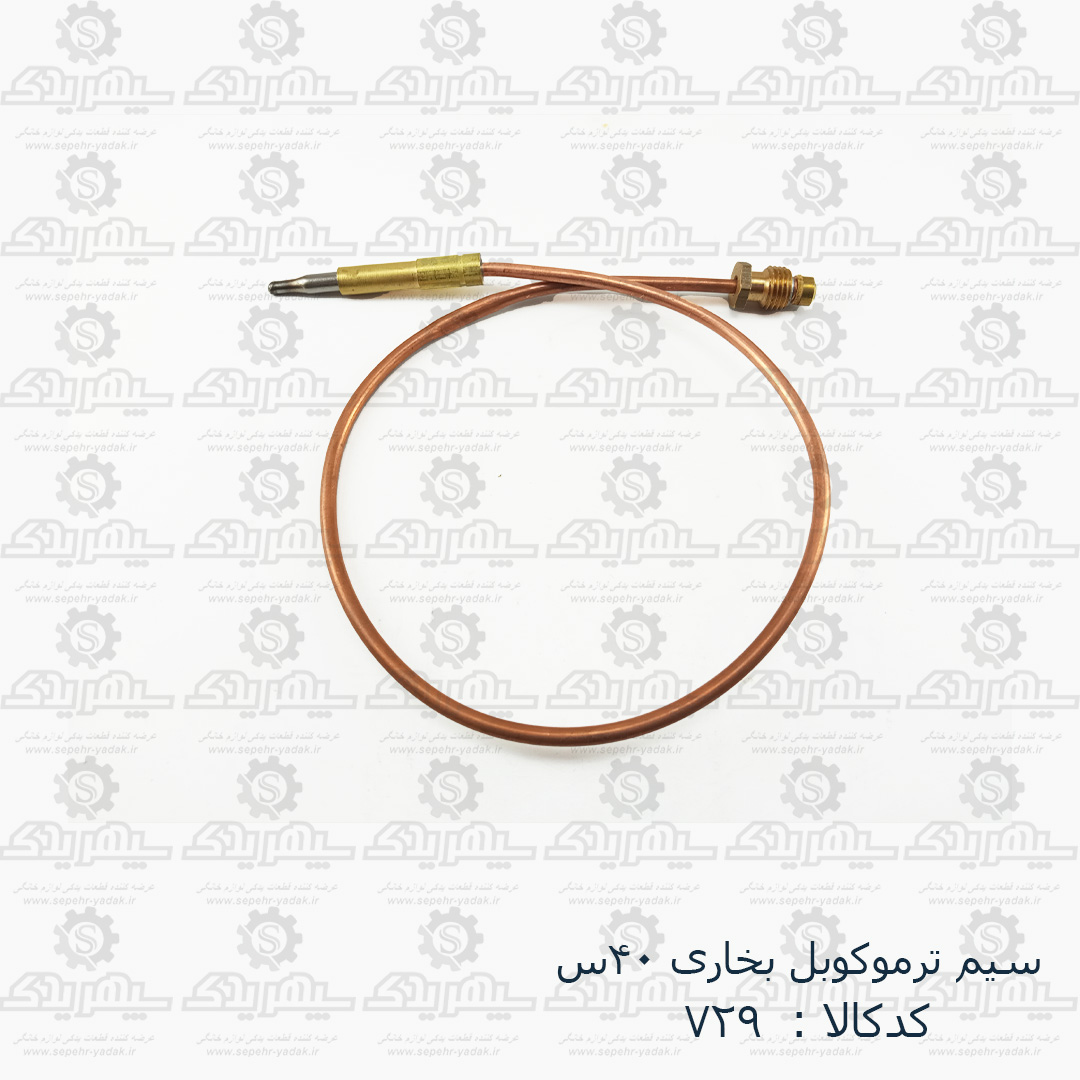 100729-1-1 سيم ترموکوبل بخاري 40س